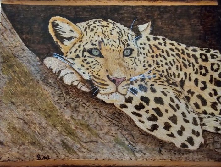 Butch's Woodburnings Pyrography Art